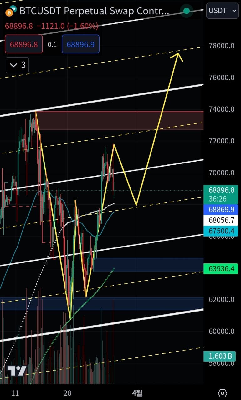 BTC PUMP SCENARIO